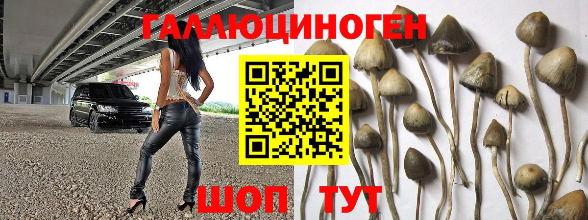 Галлюциногенные грибы Psilocybine cubensis  Вход с VPN  купить наркоту  Кировск 