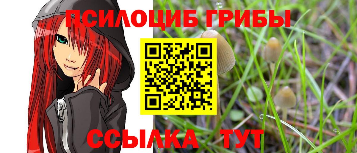 Галлюциногенные грибы ЛСД Кировск