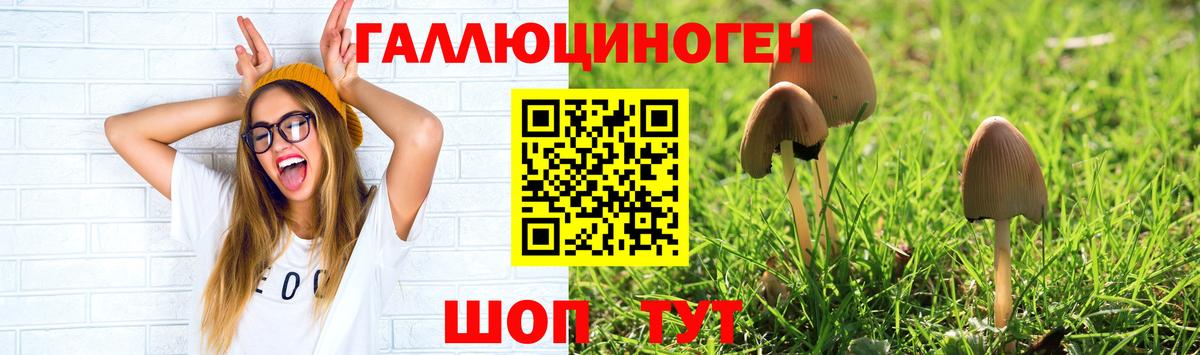 Меф Кировск